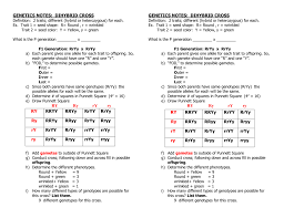 Chapter 10 dihybrid cross worksheet answers key. What Is The P Generation In Genetics