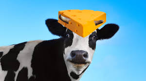 Would You Give Up Cheese To Slow Climate Change Grist