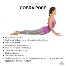 Cobra Pose Open The Heart And Roll The Shoulders Down To Promote Flexibility In Cobra Pose Easy Yoga Workouts Yoga Facts Yoga Benefits