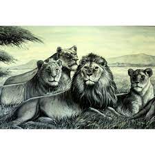 Manada De Leones Oleo Sobre Tela 25 X70 Vendido Pinturas Figurativo Leones