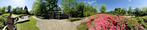 Japanischer Garten Rheinaue Bonn Stadtpanorama
