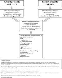 co diagnosis algorithm for erectile dysfunction and lower