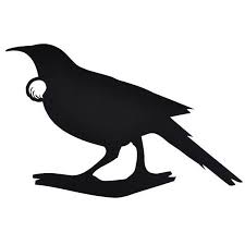 Image Result For Tui Vector Tui Bird Bird Stencil Maori Art