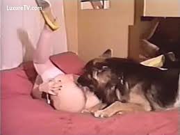 Nouvelles vidéos de zoophilie avec un cochon ajoutées aujourd'hui! Video Porno Zoophilie Gratuite A Visionner Sur Izifilm