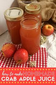 Have You Ever Wondered How To Use Up All Your Crab Apples Try Making Homemade Apple Juice With A Steamer Apple Juice Recipe Homemade Apple Juice Apple Juice