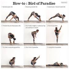 Yoga Alignment Tips Tutorials On Instagram Svargadvijasana Paradisetwiceborn Pose Or Birdofpa Bird Of Paradise Yoga Yoga Asanas Bird Of Paradise Pose