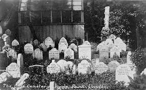 We did not find results for: Commune With Pets Of The Past At These Five Pet Cemeteries Travel Smithsonian Magazine