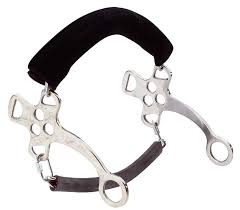 Le Mors Un Hackamore Pessoa