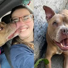 Fundraiser by Megan McManus : Help offset the cost of Holly's ACL surgery