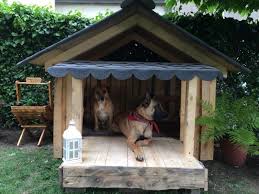 Hundehutte Aus Einwegpaletten Bauanleitung Zum Selberbauen 1 2 Do Com Deine Heimwerker Community Hundehutte Hundehutte Selber Bauen Einwegpaletten