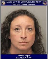 Mark Herman, Harris County Constable Precinct 4