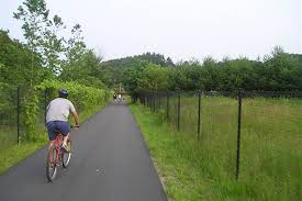 Image result for Springfield Irving Springfield VT