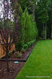 The idea with this arrangement is that the back row fills in the gaps of the row in front of it. Stunning Privacy Fence Line Landscaping Ideas With Images Large Backyard Landscaping Privacy Fence Landscaping Backyard Landscaping Designs
