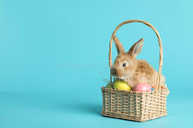 In need of some easter bunny ideas to make your homestead easter ready? 134 307 Easter Bunny Photos Free Royalty Free Stock Photos From Dreamstime