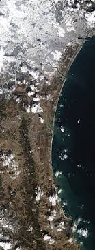The earthquake caused a tsunami, which reached more than 10 meters high in some areas. 2011 TÅhoku Earthquake And Tsunami Wikipedia