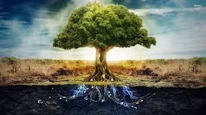 63 Yggdrasil The great collection of yggdrasil wallpaper for desktop, laptop and mobiles. 63 yggdrasil