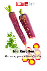 Hubsch Und Gesund Lila Karotten Sind Das Neue Gesunde Trend Gemuse Lila Karotten Karotten Gesundheit