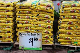 This information might be about you, your preferences or your device and is mostly. Sweet Deals At The Home Depot Plant And Garden Sale One Hundred Dollars A Month