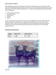 Kambing etawa jenis ini pernah populer pasar ternak kambing di jawa dan malaysia sebelum trend kambing kontes ras kaligesing. Panduan Menternak Kambing