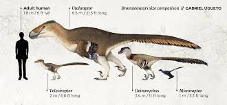 Want to discover art related to utahraptor? Locked In Rock Liberating America 39 S Giant Earth Archives