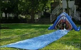 Slip N Slide Ghost Shark Gif Wifflegif
