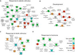 We did not find results for: Using Single Plant Omics In The Field To Link Maize Genes To Functions And Phenotypes Molecular Systems Biology