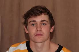 Driedger hat trick sinks North Stars at home