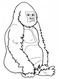 Gorilla Coloring Pages Preschool And Kindergarten Monkey Coloring Pages Zoo Coloring Pages Animal Coloring Pages