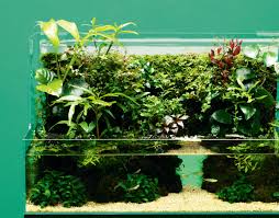 The terrarium tank includes a rock landscape with planting pods, cascading waterfall that provides nutrients to. Style 02 Dooa