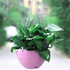 See more ideas about hanging orchid, beautiful orchids, orchids. Large Purple Balcony Potted Resin Flower Hanging Orchid Pot With Iron Chain Hook Purple Buy Online In Angola At Angola Desertcart Com Productid 108526560
