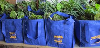 It is an alternative socioeconomic model of agriculture and food distribution that allows the producer and consumer to share the risks of farming. Workplace Csas Asap Connections