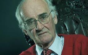 Falklands Defence Secretary wins approval for wind turbines