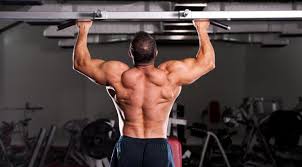 Hasil gambar untuk menggantung di bar pull up