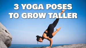 Basic yoga poses for beginners with instruction. Yoga Poses 3 Yoga Poses To Grow Taller How To Increase Height About Yoga Blog Home Of Yoga The Zen Way Of Teaching Yoga Online