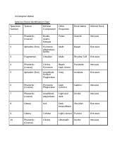 Igneous Rocks Chart Christopher Weber Docx Christopher