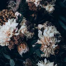 Myriad Runa Holly Floral Photography Floral Wallpaper Pretty Wallpapers
