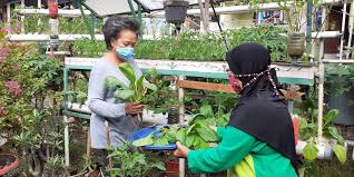 Membangun hubungan sosial yang baik dengan sesama merupakan salah satu kunci hidup rukun. Gotong Royong Perkuat Ketahanan Keluarga Hadapi Pandemi Covid 19 Bnpb