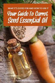 Carrot Seed Oil Benefits A Diy Carrot Seed Oil Moisturizer Recipe Carrot Seed Oil Benefits Carrot Seed Essential Oil Essential Oils