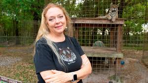 👍i am a youtube channel trying to grow and make the people who watch my videos happy.👍🎶just a song about carol baskin🎶 Carole Baskin S Rise To Millionaire Tv Star After Gang Rape At 14 And Abusive First Marriage Mirror Online