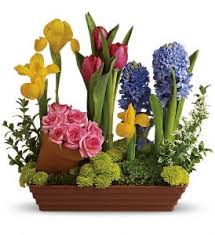 Maybe you would like to learn more about one of these? Spring Favorites T149 1a In Arlington Va Twin Towers Florist