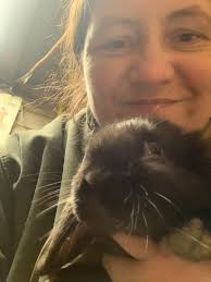 9 month old holland lop bunnies available for adoption! one male (Bronson)  one female (Maple)- both neutered/spayed back in Sept. Friendly and handled  daily by my children (Maple is a little more