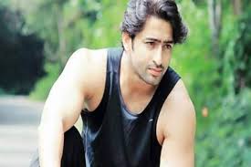 Shaheer sheikh celebrates six month anniversary with wifey, ruchikaa kapoor, shares a cute picture. Shaheer Sheikh My Sister Is A Doctor And I Am Proud Of Her India Forums