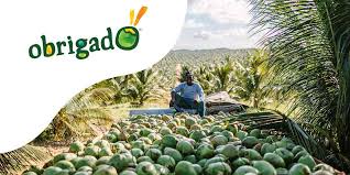 Some have speculated that the word obrigado is cognate with the japanese word for thank you, arigatou (gozaimasu). Obrigado Coconut Water