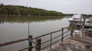 Selain dikelilingi kehijauan, ada swimming pool dan ada juga tempat memancing. 12 Tempat Memancing Di Selangor Best Dan Sesuai Untuk Kaki Pancing Ammboi