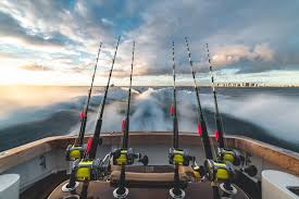 Sport fishing zipper lock screen application is a screen lock application that could help you to lock and unlock your phone screen by zip. Best 100 Fishing Pictures Download Free Images On Unsplash