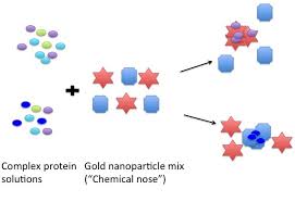 L'émission en replay et ses archives en réécoute sur france culture. Protein Quantitation