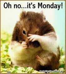 Montag Fun Bilder Lustige Bilder Fun Bilder Lustiger Morgen