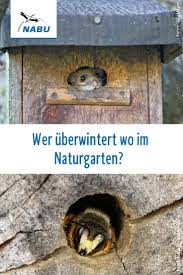 Wer Uberwintert Wo Im Garten Nabu Naturgarten Blumenkasten Holz Insektenhotel Selber Bauen