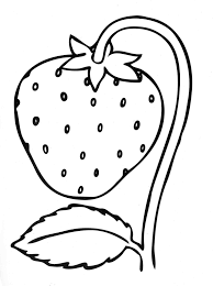 Strawberry jenis ini banyak menyebar ke berbagai negara seperti amerika. Kumpulan Gambar Mewarnai Buah Strawberry Anak Tk Marimewarnai Com