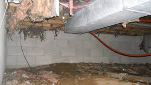 We did not find results for: Insulating Ductwork With Spray Foam Insulation Dengarden